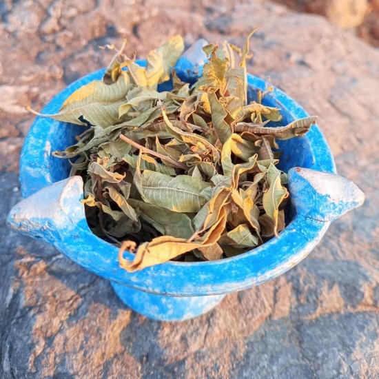 عشبة اللويزة